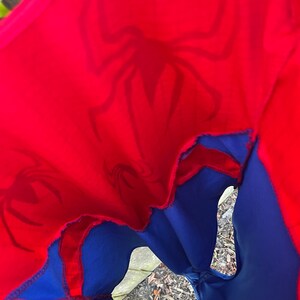 Pu&ograve; includere: Un costume da supereroe rosso e blu con un logo a forma di ragno. Il costume &egrave; realizzato in tessuto elastico e ha una cerniera sul retro.