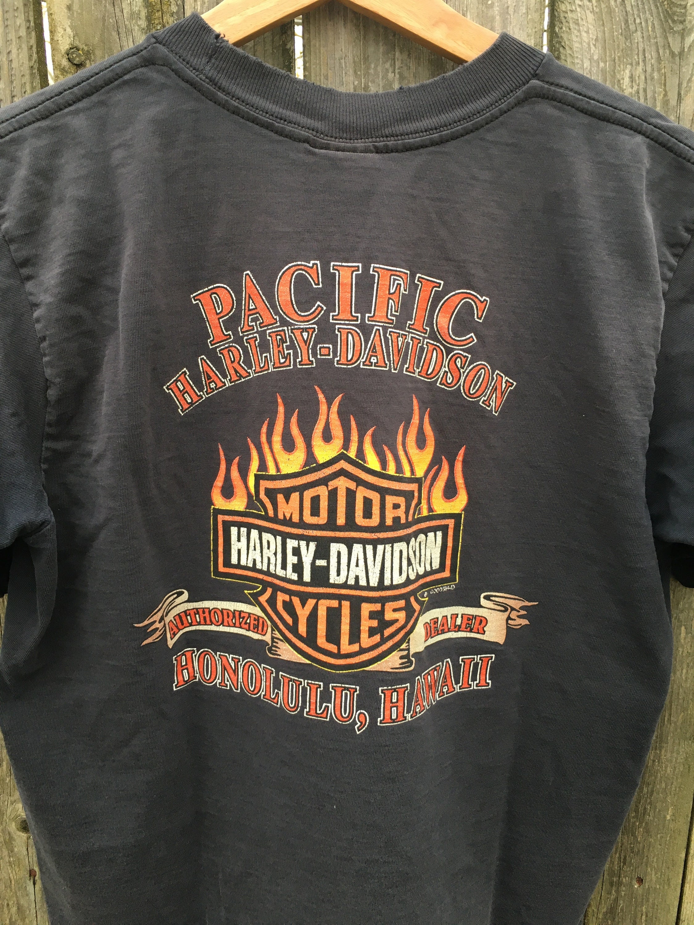 Vintage 2000's Harley Davidson Motorcycles Fuel the Fire Feed the