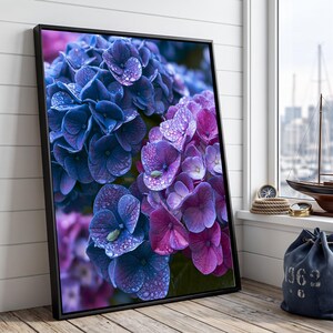 Peut inclure: Une impression d'art mural rectangulaire encadrée représentant un gros plan de fleurs d'hortensia bleu et violet vif couvertes de petites gouttelettes d'eau. Les pétales présentent diverses nuances de violet, d'indigo et de magenta.