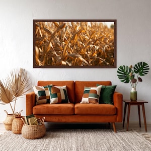 Peut inclure: Une impression d'art encadrée rectangulaire représentant un champ de maïs doré, exposée au-dessus d'un canapé en velours orange brûlé avec des coussins à motifs géométriques. Un panier tressé avec des livres et une plante monstera au sol.
