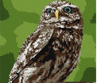 Owl Needlepoint Kit by Pepita