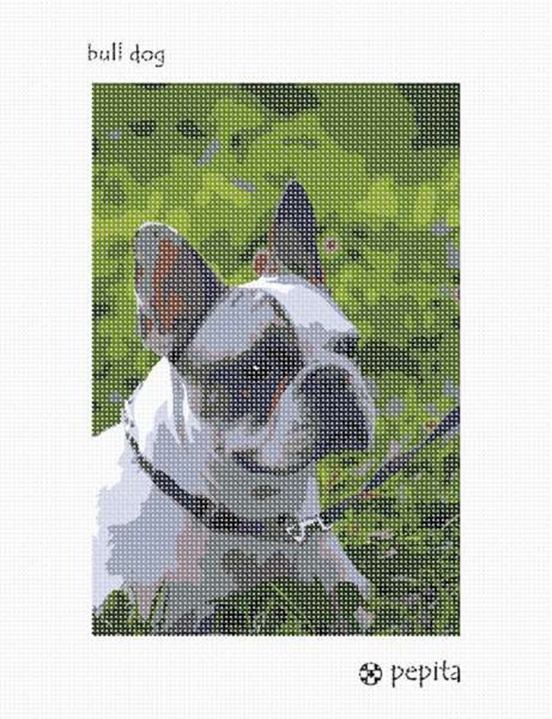 Needlepoint Kit or Canvas: Bull Dog image 1