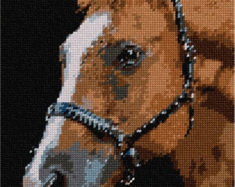 Needlepoint Kit or Canvas: Horse Up Close