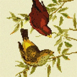 Needlepoint Kit or Canvas: Scarlet Finch