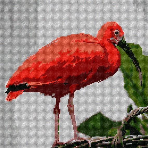 Needlepoint Kit or Canvas: Scarlet Ibis - Etsy