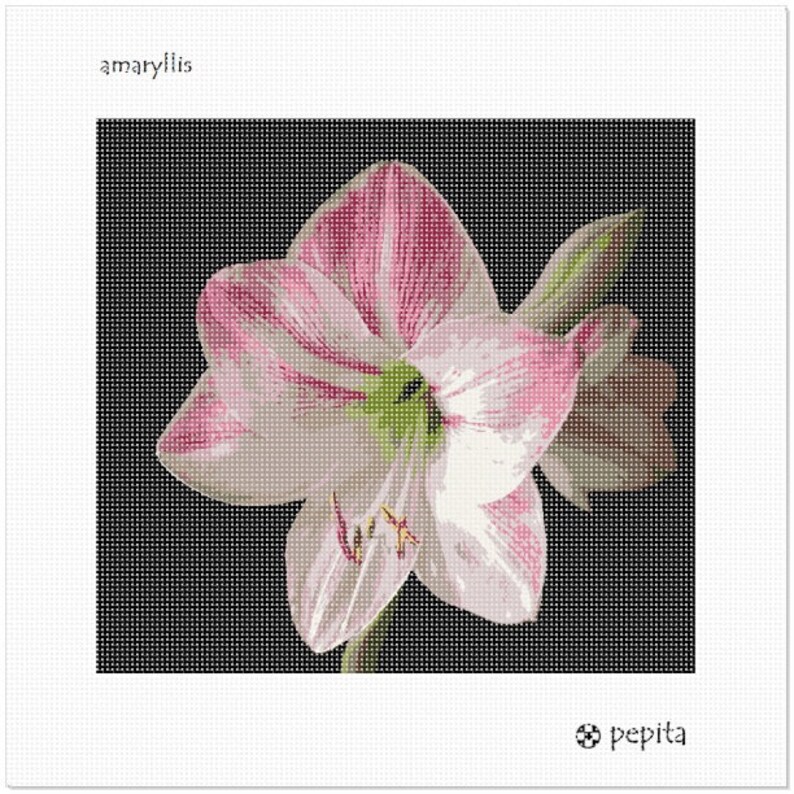 Amaryllis Needlepoint Kit or Canvas