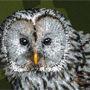 Needlepoint Kit or Canvas: Ural Owl