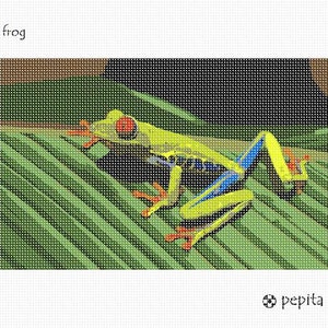 Needlepoint Kit or Canvas: Frog image 2