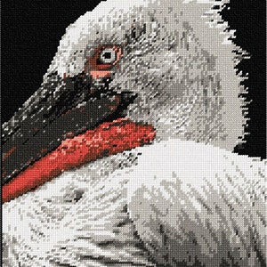 May include: A cross-stitch pattern depicting a close-up of a white pelican head and neck against a solid black background. The bird features a long dark beak with a prominent red throat pouch, a detailed eye, and textured white and gray plumage.