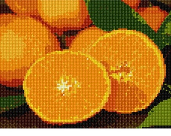 Needlepoint Kit or Canvas: Navel Oranges