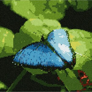 May include: A blue butterfly with wings spread wide, perched on a green leaf. The butterfly's wings have a delicate pattern of blue and white.