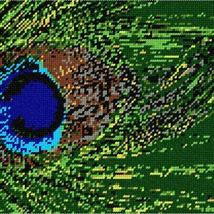 May include: A close-up of a peacock feather with a blue, green, and brown eye pattern. The feather is green with a yellow and brown pattern.