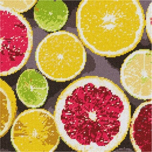 Needlepoint Kit or Canvas: Citrus Slices