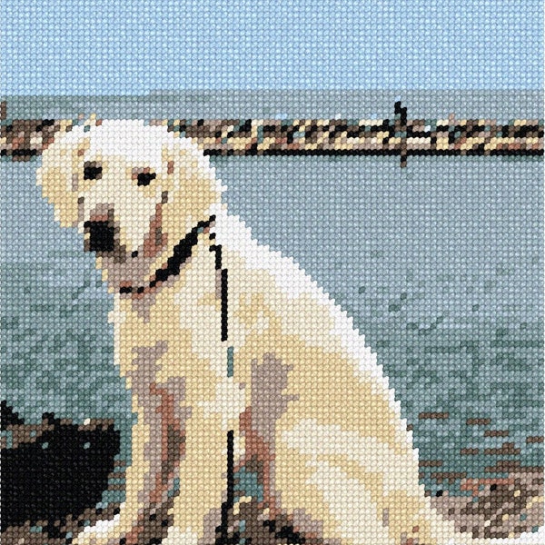 Needlepoint Kit Dog Collar Etsy