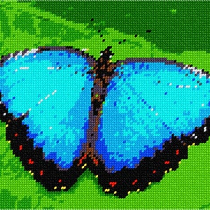 May include: A blue butterfly with black and white markings on its wings is perched on a green leaf.