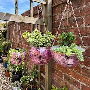 May include: Three hanging planters made of pink mirrored disco ball tiles. The left planter holds a string of pearls plant, the center holds variegated ivy, and the right holds a succulent. Each planter is suspended by silver metal chains.