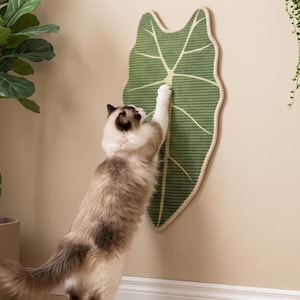 Puede incluir: Un rascador para gatos montado en la pared con forma de hoja grande de color verde y borde claro. La superficie texturizada presenta una vena central y líneas radiantes, proporcionando un área vertical para rascar y estirar.