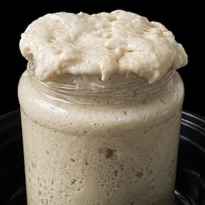 May include: A clear glass jar filled with active, bubbly beige sourdough starter. The thick, fermented mixture has risen to the top of the jar, creating a textured, foamy crown that spills slightly over the rim, showcasing a porous, aerated consistency.