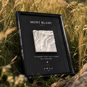 Mont Blanc 3D Topographic Map Wall Art, Framed Mountain Relief Sculpture