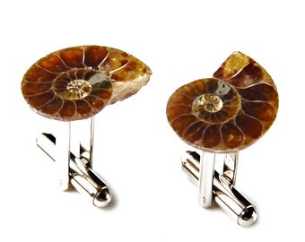 Genuine Ammonite Fossil Cufflinks - Unique Handmade Gift - Gift Boxed - On Sale!