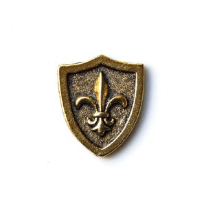 Pode incluir: Um escudo de metal dourado com um design de flor-de-lis.