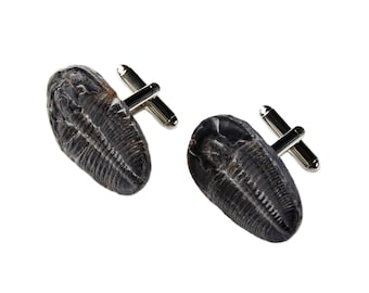 Genuine Trilobite Fossil Cufflinks - Unique Handmade Gift - Gift Boxed - On Sale!