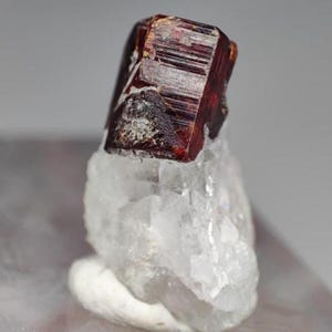 Puede incluir: Un espécimen de cristal prismático de color marrón rojizo oscuro posado sobre un grupo de formaciones minerales blancas, translúcidas y dentadas. El cristal oscuro muestra estrías verticales y una textura superficial brillante y reflectante.
