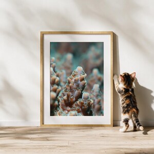 Op de afbeelding: Een ingelijste wandkunstprint met een macrofoto van getextureerde, bruinoranje koraalstructuren met blauwgroene accenten. De print zit in een lichtgekleurde houten lijst en staat op een vloer naast een kleine lapjeskat.