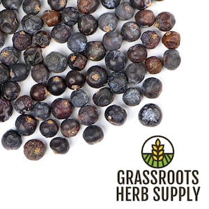 Juniper Berry, Whole (Juniperus communis)