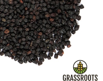 Elderberry, Whole (Sambucus nigra)