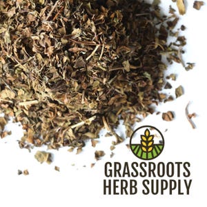 Tulsi (Holy Basil), c/s (Ocimum tenuiflorum) image 1