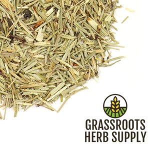Shavegrass Herb, c/s aka Horsetail (Equisetum arvense)