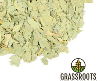 Hoja de eucalipto, c/s (Eucalyptus globulus)