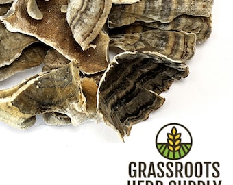 Turkey Tail Mushroom, Whole (Trametes versicolor)