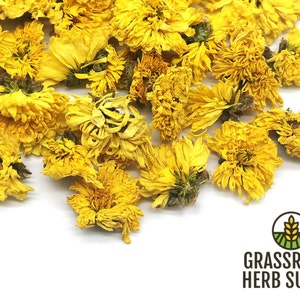 Chrysanthemum Flower Yellow, Whole (Chrysanthemum morifolium)