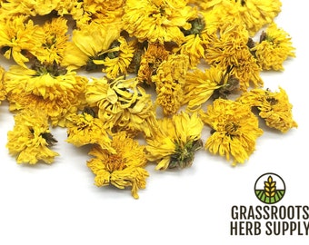 Chrysanthemum Flower Yellow, Whole (Chrysanthemum morifolium)