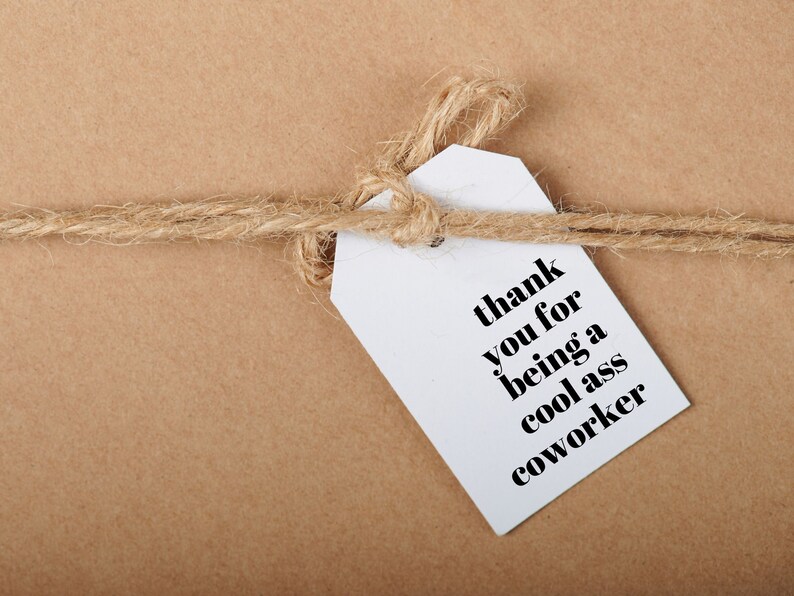 Etichette regalo di apprezzamento per i colleghi, etichetta di ringraziamento, regalo per amici di lavoro, biglietto di ringraziamento divertente, etichette stampabili per colleghi per regali, grazie sarcastico immagine 6