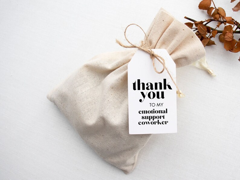 Pu&ograve; includere: Una borsa regalo bianca con uno spago marrone legato intorno. Un'etichetta bianca con testo nero dice "grazie al mio collega di supporto emotivo".