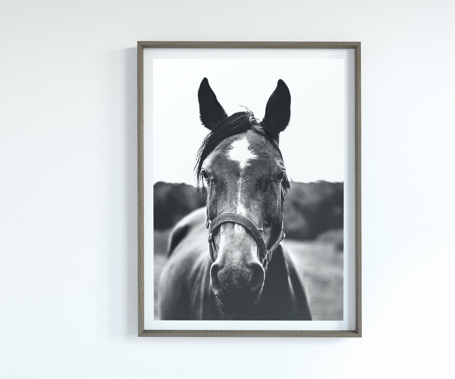 Black and White Horse Print Set of 3 Animal Prints Horse Etsy