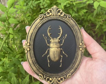 May include: An oval wall plaque featuring a gold-coloured stag beetle relief centred on a textured black background. The piece is encased in an ornate, antique-style gold frame with decorative scrollwork details at the top and bottom edges.