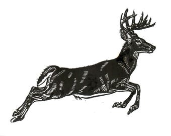 White-Tailed Deer Linocut Print
