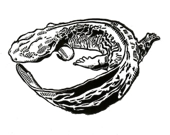 Eastern Hellbender Linocut Print