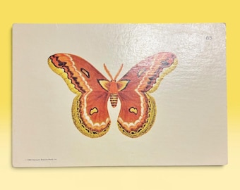1966 Insect Entomology Flash Cards: Moth, Bee, Butterfly, Spider (12pc Lot) Vintage Ephemera