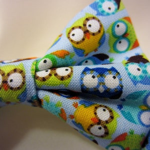 May include: A blue bow tie with a pattern of colorful owls. The owls are in various colors, including green, yellow, blue, and brown.