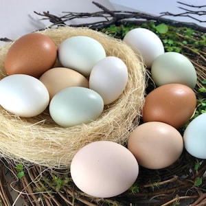 May include: A collection of eggs in various colors, including brown, white, and blue, nestled in a woven nest. The eggs are surrounded by a wreath of twigs and greenery, creating a rustic and natural aesthetic.