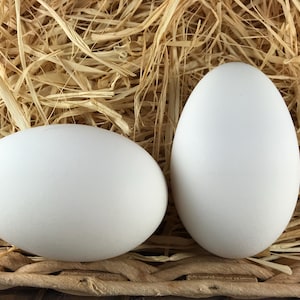 May include: Two white eggs rest in a bed of straw. One egg is oval-shaped, and the other is more elongated. The eggs are a bright white color, contrasting with the brown and tan straw.