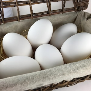 May include: A woven basket filled with six large, white eggs nestled on a bed of straw and lined with a beige fabric. The basket has a brown handle and is made of woven twigs.