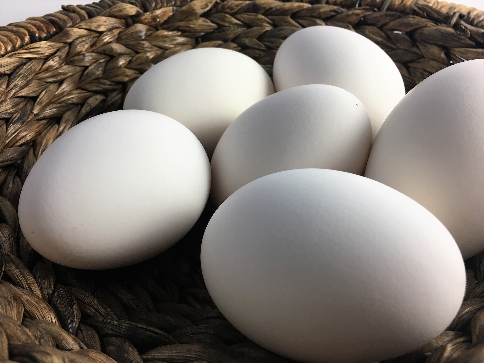 Гусиное яйцо стоит. Гусиное яйцо стоит. Яйцо инкубационное линда. Яйца инкубационные порода линда. Гусиные яйца.