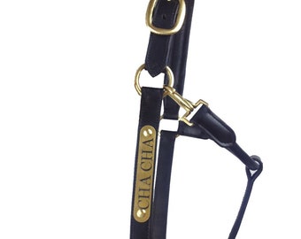Horse Leather Halter | Brass Fittings | Brass Colour | Custom Halter | Personalised Halter | Horse Halter | Made To Order