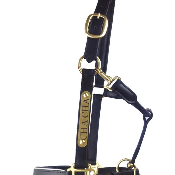 Horse Leather Halter | Brass Fittings | Brass Colour | Custom Halter | Personalised Halter | Horse Halter | Made To Order